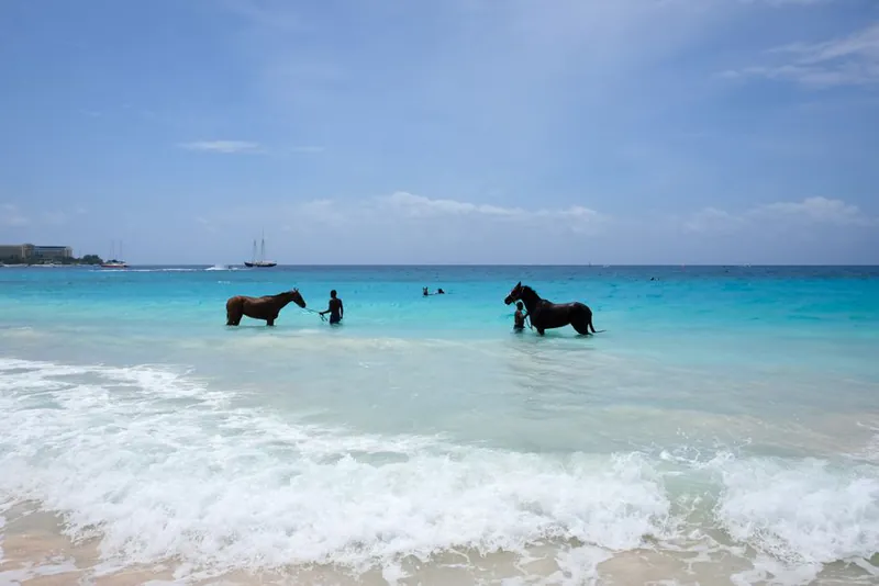 Barbados Digital Nomad Visa 2026: Requirements, Costs, Process, and What Nobody Tells You