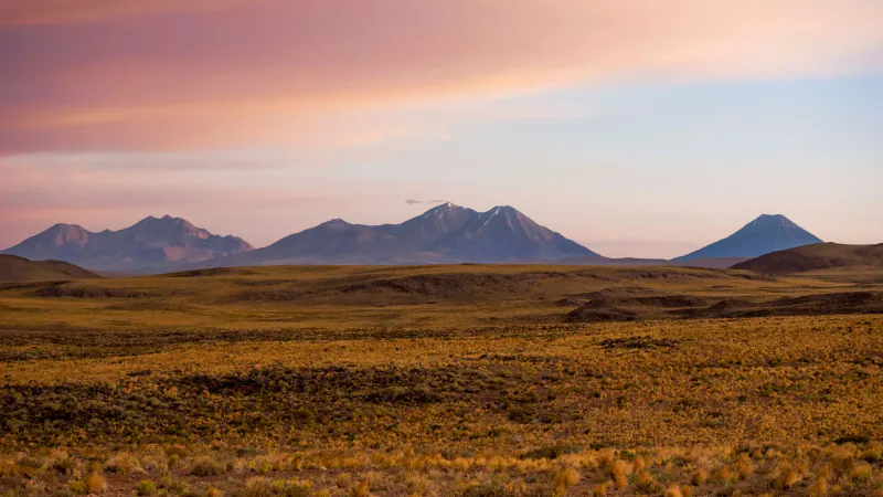 Chile Expat Field Guide 2026: Visas, Cost of Living & Tech