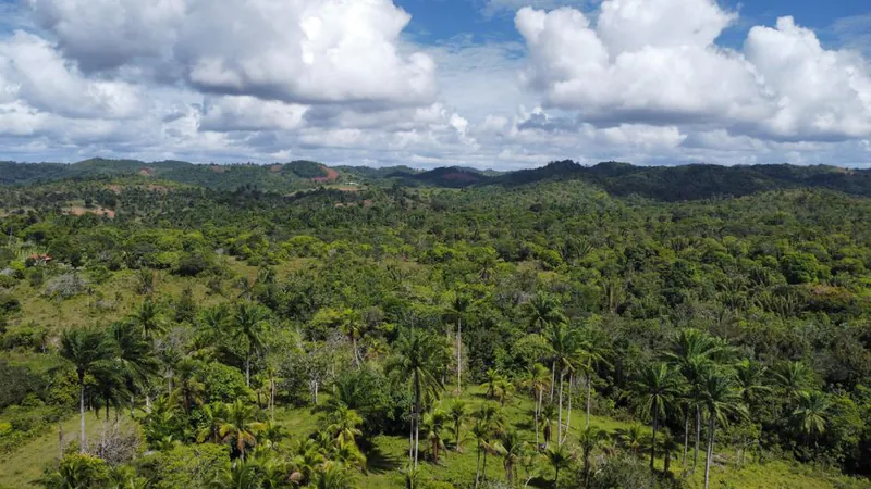 Moving to the Dominican Republic in 2026: $200k Instant Residency, 6-Month Citizenship, and the Crime Reality