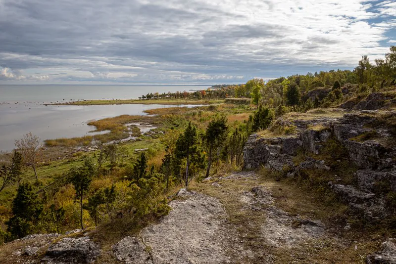 Estonia Digital Nomad Visa 2026: The €4,500 Threshold, Tax Truths, and the 548-Day Hard Limit