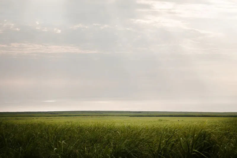Moving to Guyana in 2026: 16% Oil Boom Growth, Georgetown Safety, and Tax Rates