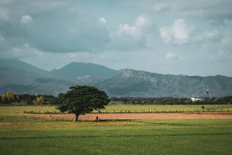 Moving to Honduras in 2026: $750 Pensionado Rule, Roatán Realities, and Tax Brackets