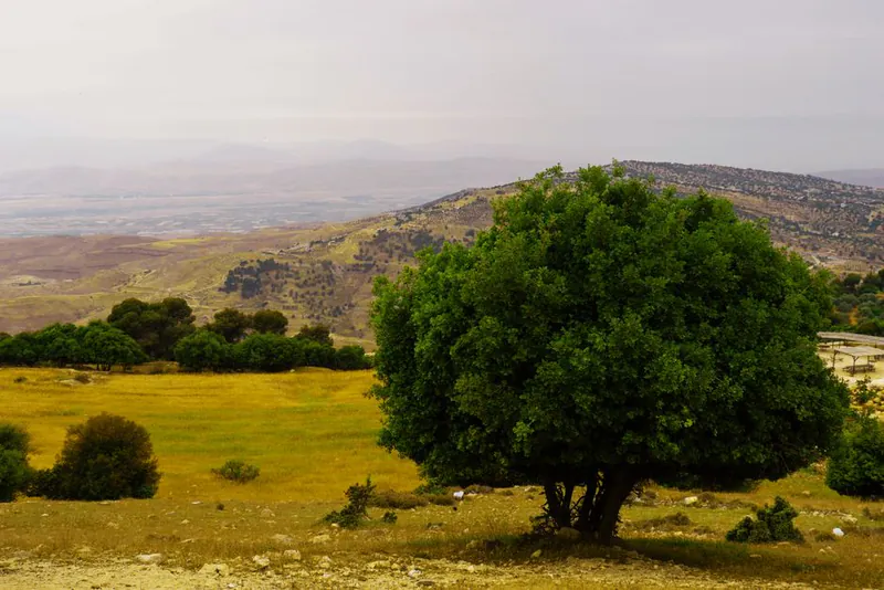 Moving to Jordan in 2026: JOD 10k Residency Rule, Medical Hub Status, and Amman Costs
