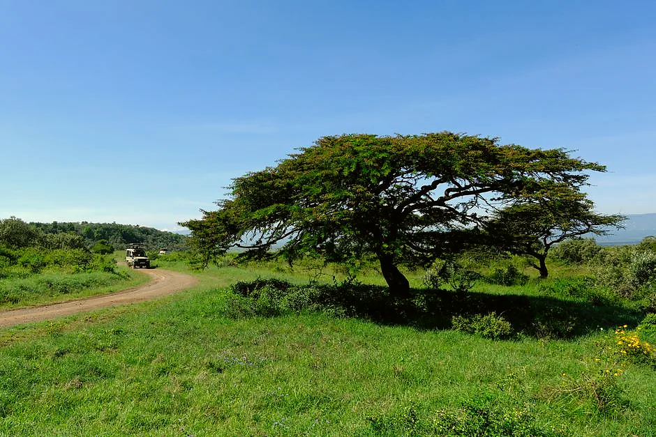 Moving to Kenya in 2026: Class N Nomad Permit, 35% PAYE Tax, and $400 Nairobi Rents