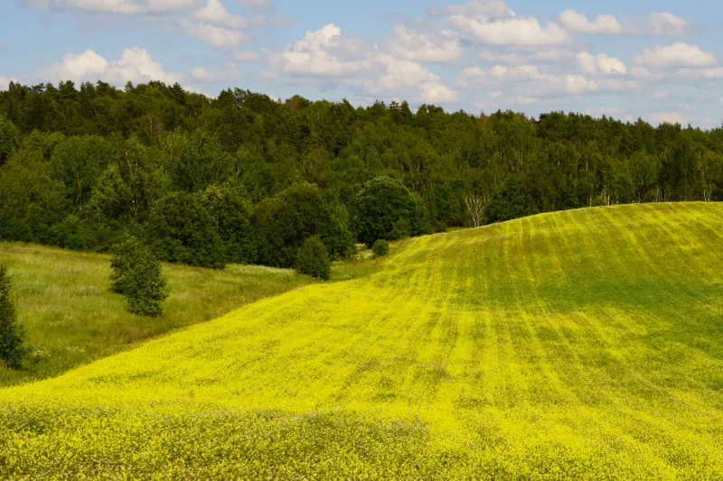 Moving to Lithuania in 2026: 3% GDP Growth, Vilnius Tech Salaries & 15% Taxes