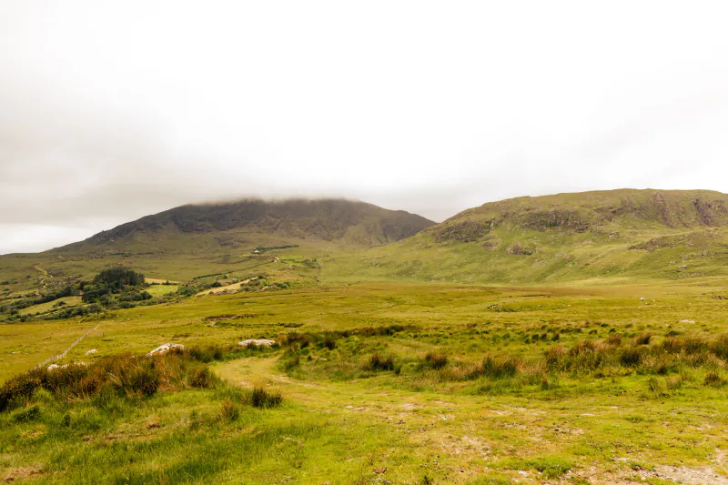 Ireland in 2026: The English-Speaking EU Base That Actually Taxes You at 52%