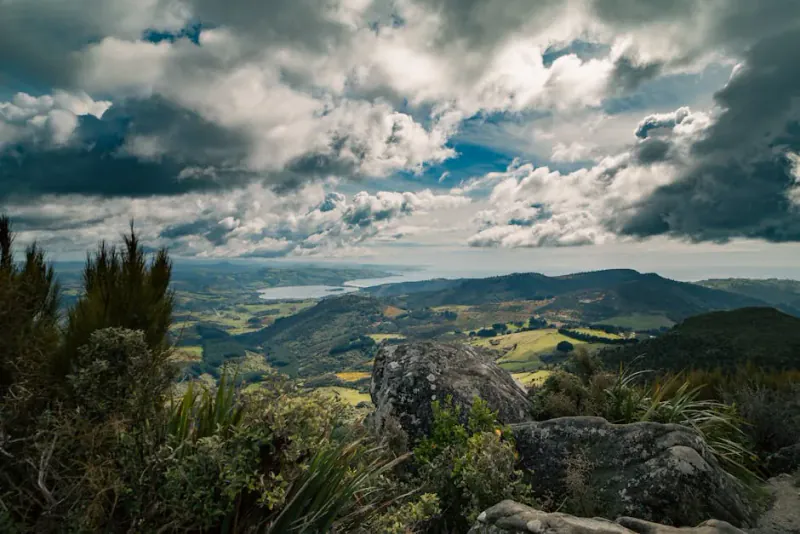 Moving to New Zealand in 2026: Green List Visas, 2.25% Cash Rate & Property Rules