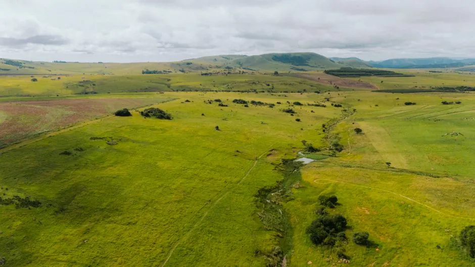 South Africa Digital Nomad Visa 2026: Requirements, Costs & Taxes