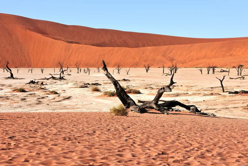 Moving to Namibia in 2026: 0% Tax on Foreign Income, N$4M Retirement Rule, and Windhoek Realities