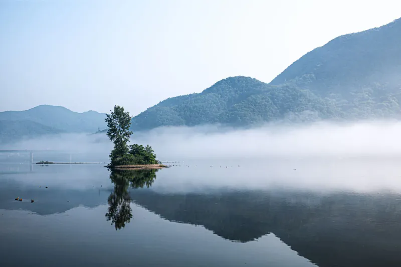 Moving to South Korea in 2026: The No-Nonsense Nomad Guide