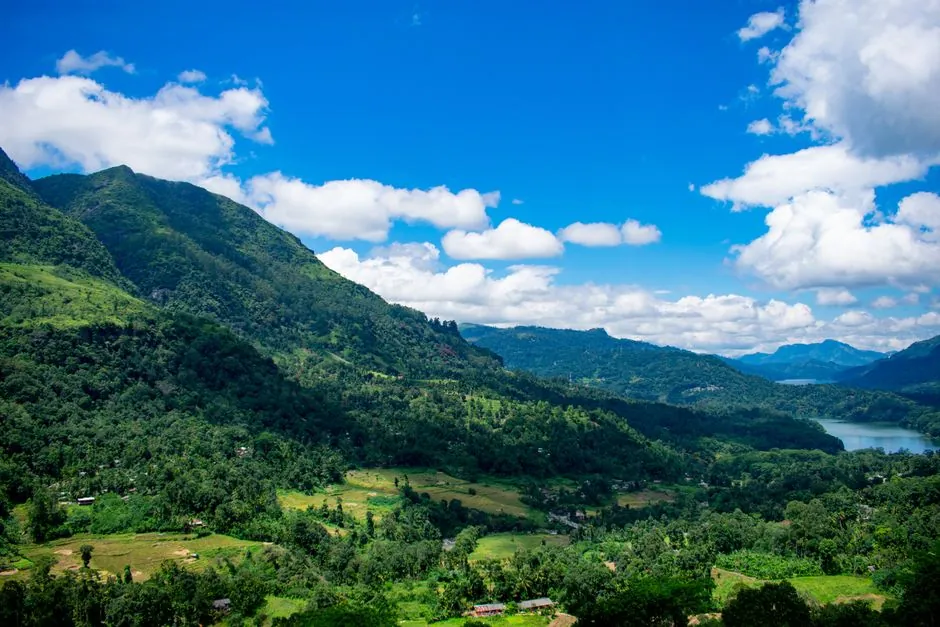 Sri Lanka Digital Nomad Visa 2026: Requirements, Costs, Process, and What Nobody Tells You