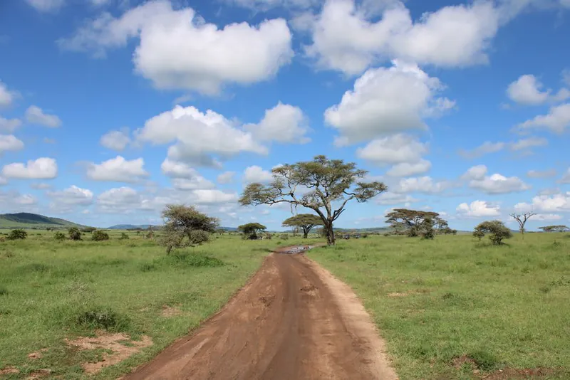 Moving to Tanzania in 2026: No-Income-Threshold Class C Permit, Zanzibar Realities, and Taxes