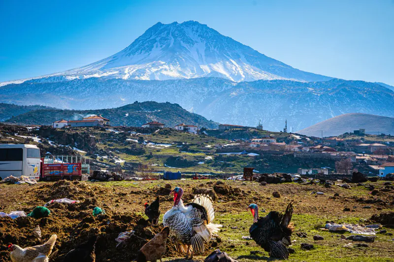 Turkey Digital Nomad Visa 2026: Requirements, Costs, Process, and What Nobody Tells You